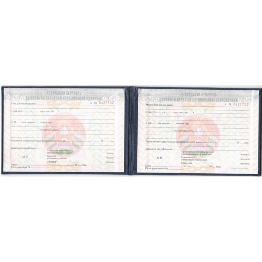 Купить диплом техникума Беларусь 2002-2024 гг.