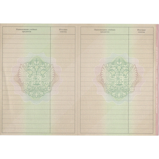 Аттестат о среднем (полном) общем образовании 2009-2013 Аттестат о среднем (полном) общем образовании 2009-2013