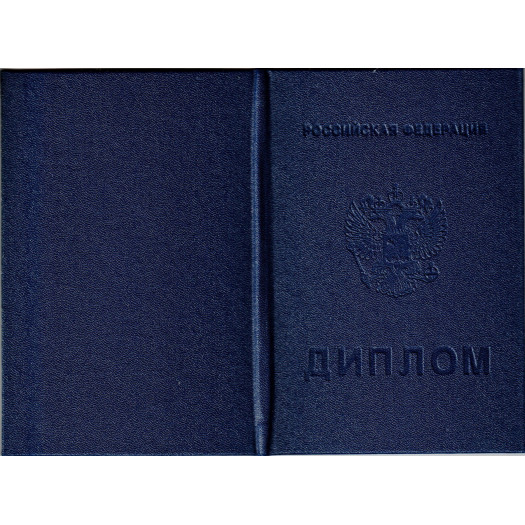 Диплом колледжа 2008-2010