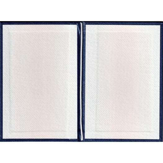 Диплом колледжа 2008-2010