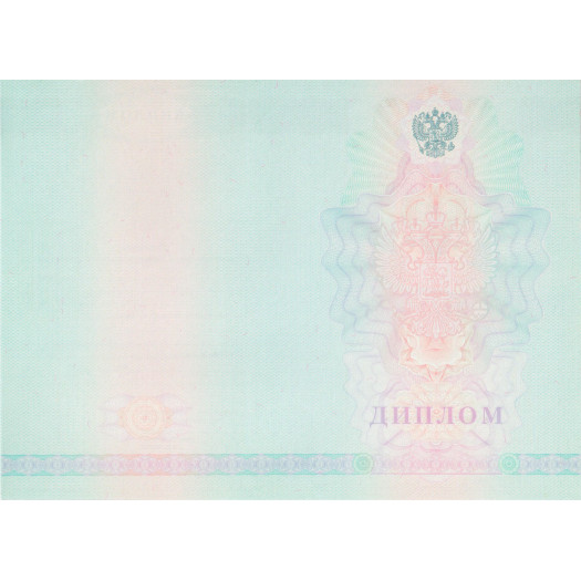 Диплом колледжа 2008-2010