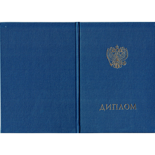 Диплом колледжа 2014-2024 Диплом колледжа 2014-2024