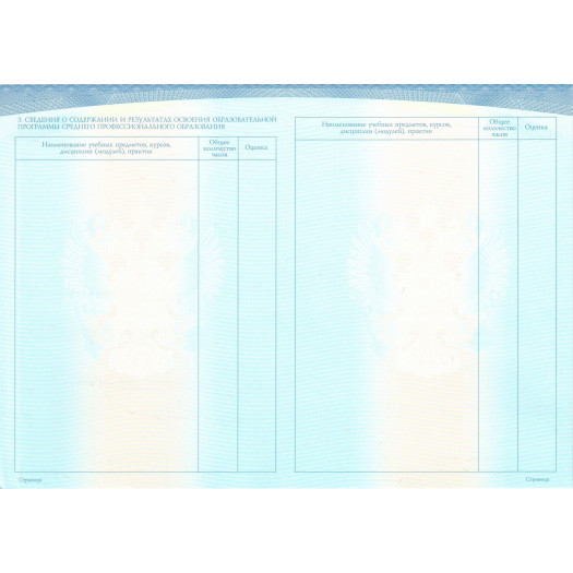 Диплом колледжа 2014-2024 Диплом колледжа 2014-2024