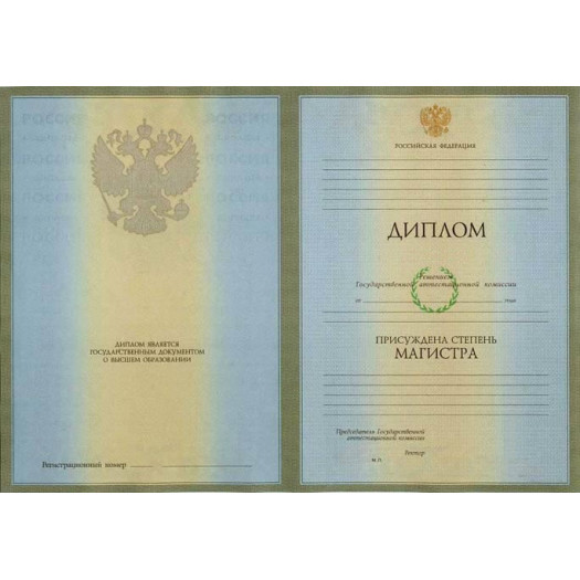 Диплом бакалавра 2004-2008