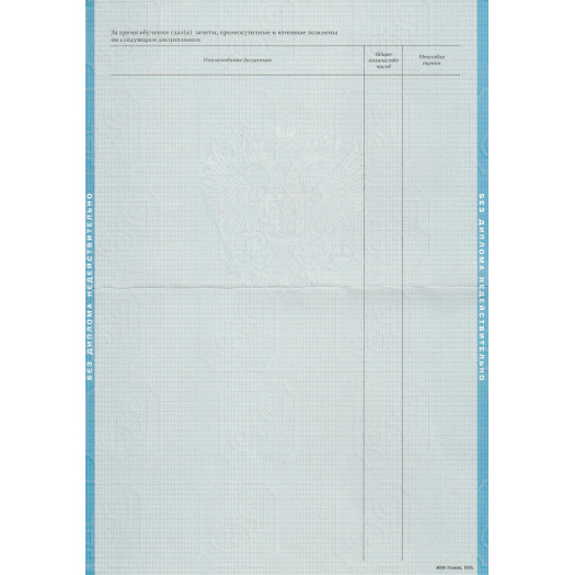 Диплом бакалавра 2004-2008