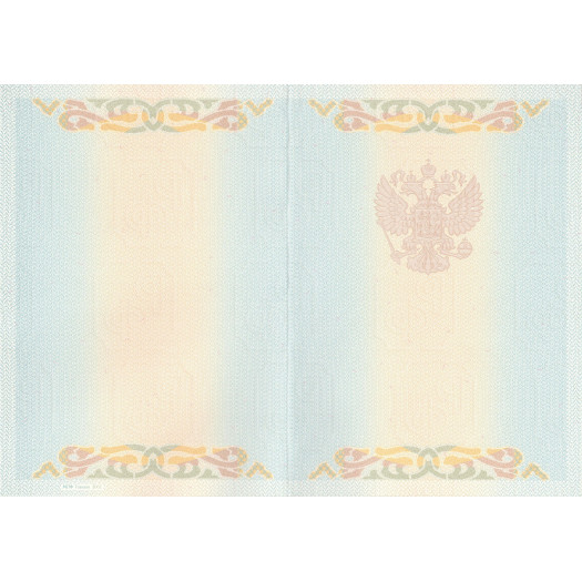 Диплом бакалавра 2004-2008