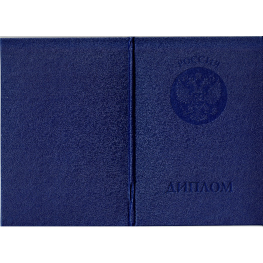 Диплом бакалавра 2009-2010