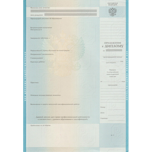 Диплом бакалавра 2009-2010