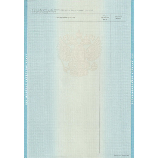 Диплом бакалавра 2009-2010