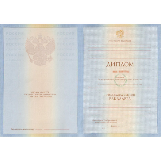 Диплом бакалавра 2009-2010