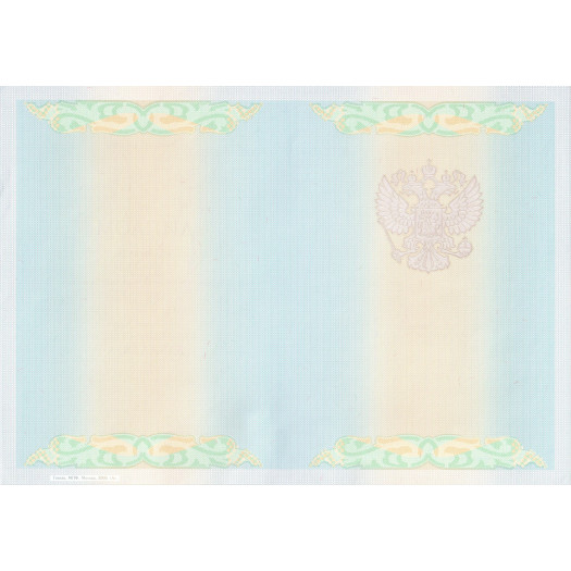 Диплом бакалавра 2009-2010