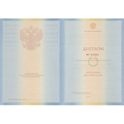 Диплом специалиста 2009-2010