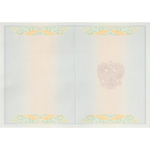 Диплом бакалавра 2011