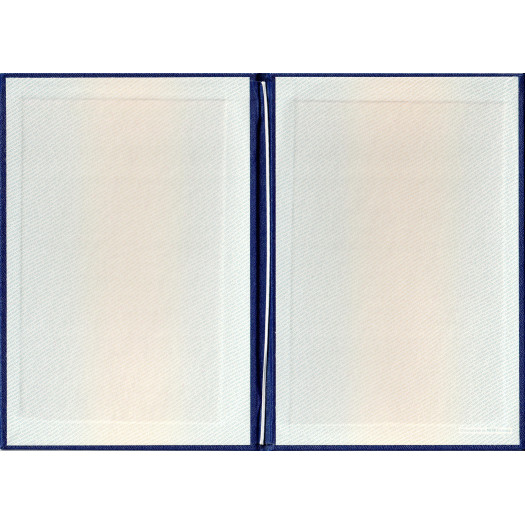 Диплом бакалавра 2012-2013