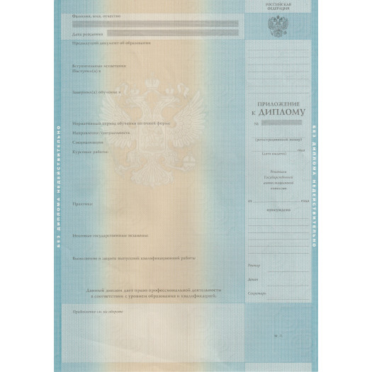 Диплом бакалавра 2012-2013