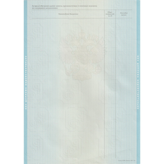 Диплом бакалавра 2012-2013