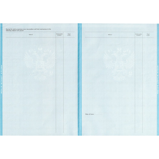 Диплом для иностранцев 1997-2013