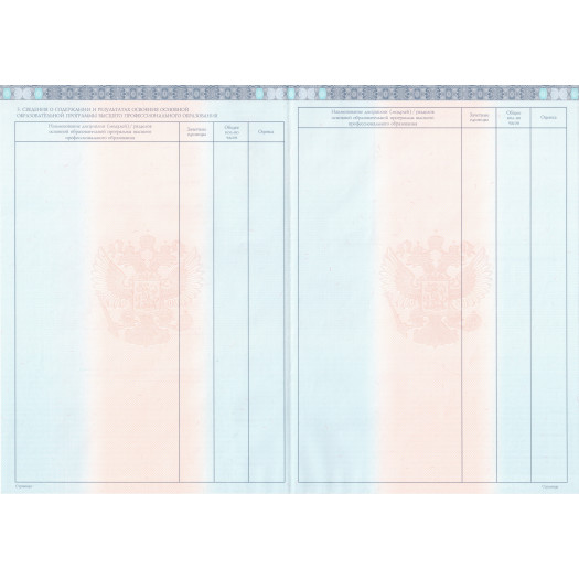 Диплом магистра 2013