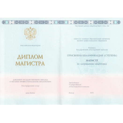 Чистый бланк диплома о высшем образовании 2014-2023