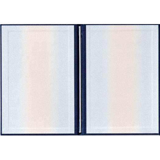 Диплом магистра 2014-2024 Диплом магистра 2014-2024