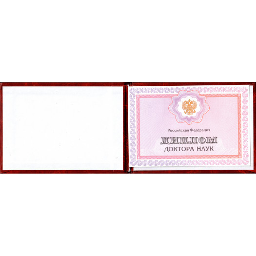 Диплом доктора наук 2013-2024