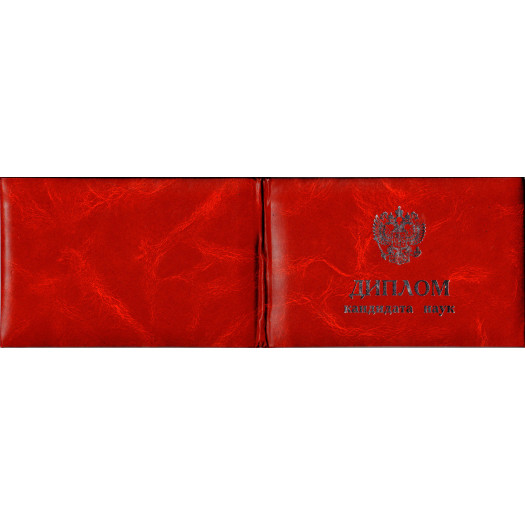Диплом кандидата наук 2000-2005