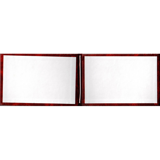 Диплом кандидата наук 2000-2005