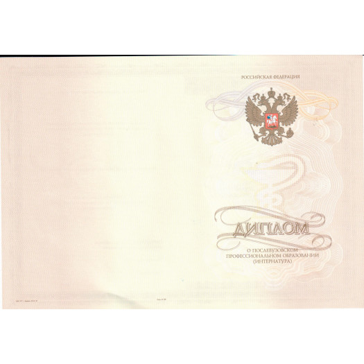 Диплом интернатуры 2013-2024