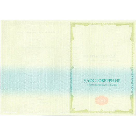 Удостоверение о повышении квалификации 2013-2019 Удостоверение о повышении квалификации 2013-2019
