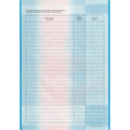 Академическая справка техникума